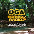 OGA WORKS RADIO MIX VOL.12 - NATURAL MYSTIC -