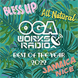 OGAWORKS RADIO MIX VOL.20 - BEST OF THE YEAR 2022 -