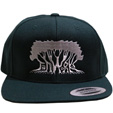 JAH WORKS CAP GREEN