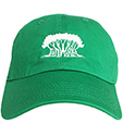 JAH WORKS 6PANEL CAP KELLEY GREEN